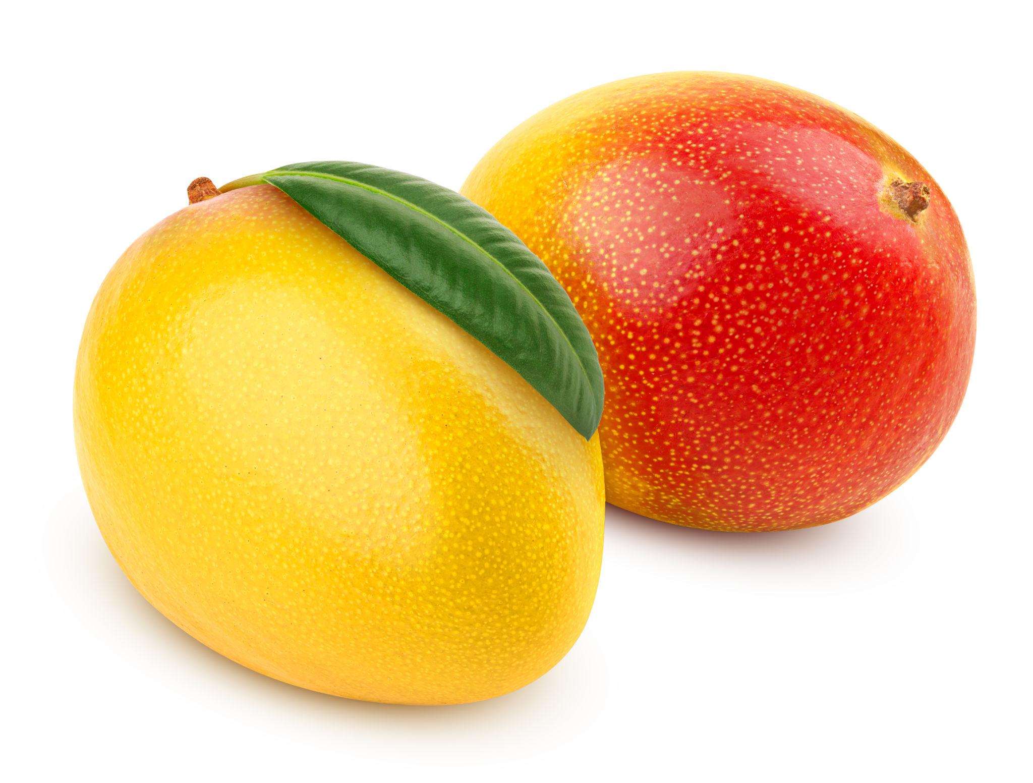 Fresh Mango